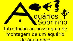 Introdução ao nosso guia de montagem de um aquário de água doce