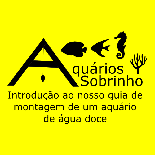 montagem aquário água doce