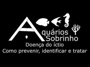 Íctio nos peixes, sintomas e tratamentos em aquários