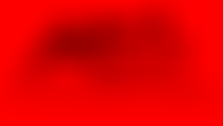 Os 4 Pontos Essenciais do Aquarismo