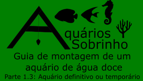 Guia de montagem de um aquário de água doce - Parte 1.3: Aquário definitivo ou temporário