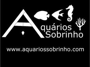 Bem vindo à Aquários Sobrinho