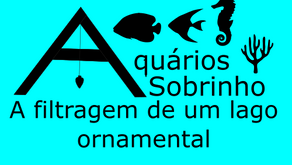 A filtragem de um lago ornamental