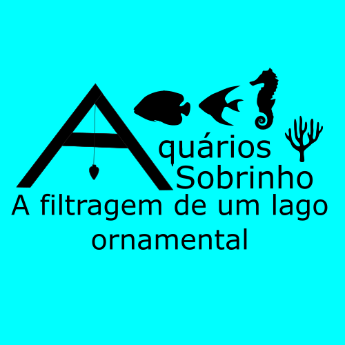 filtragem filtro lago ornamental