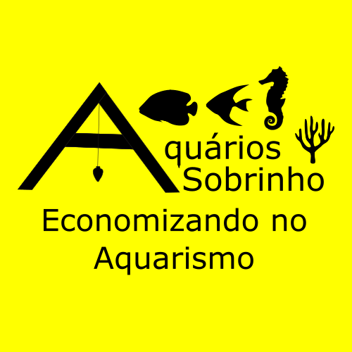 economizando aquarismo dinheiro