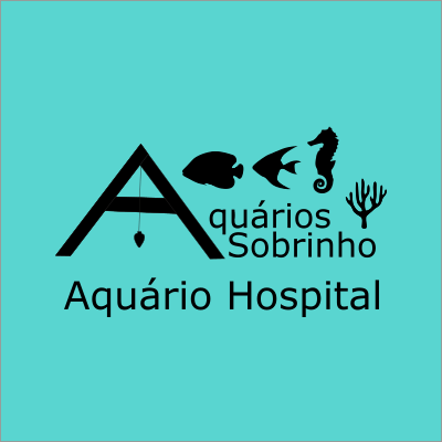 aquário hospital peixe