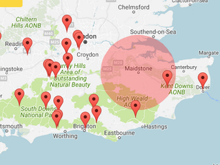 Alabama Rot map shows hot spots for fatal pet disease in Kent and here's what you need to watch