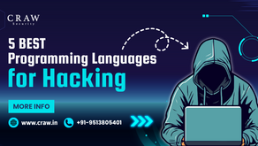 Best 5 Programming Languages for Hacking in 2025