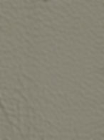GIBRALTAR 1682 LIGHT GREY