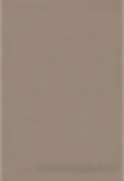 PLASTER - 2122