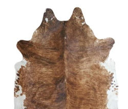 BRINDLE WHITE BELLY 02