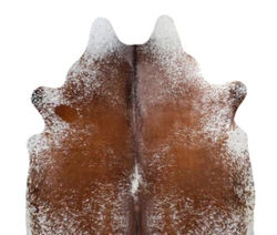 SALT AND PEPPER TRICOLOR 04