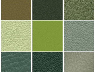 Green With Envy