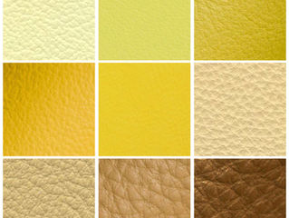 Mellow Yellows