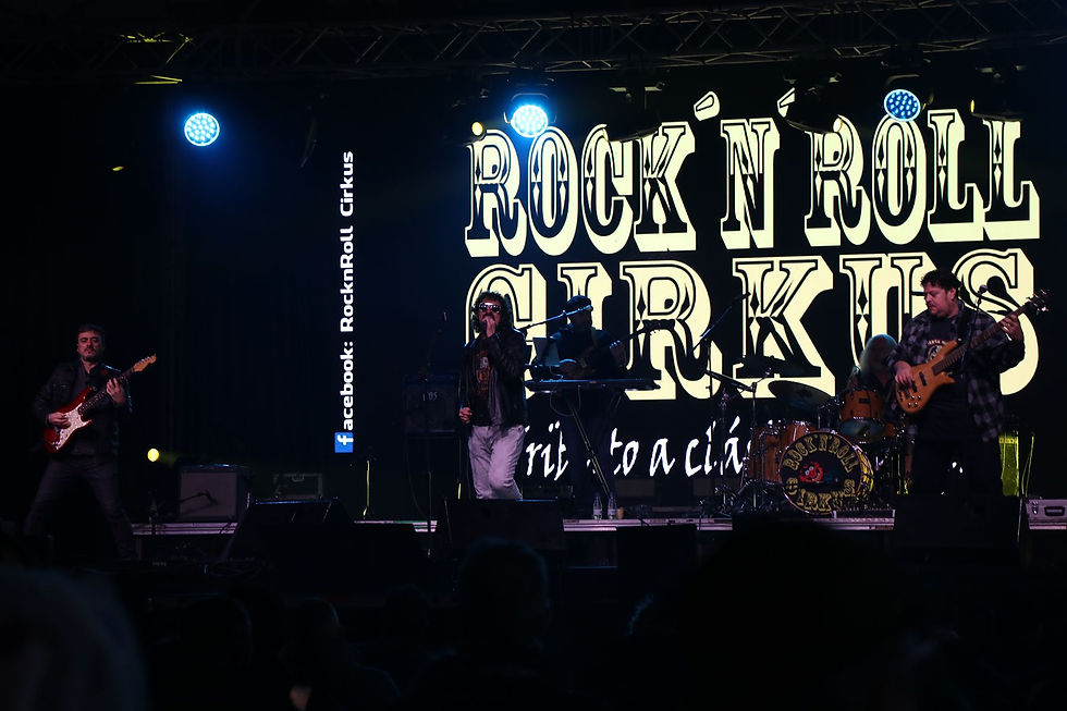 pinguinos 2026 valladolid (45)