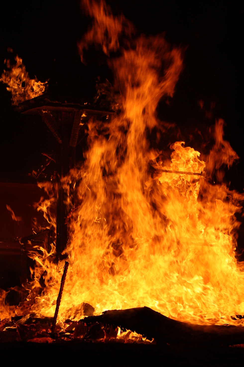 pinguinos 2026 valladolid (55)