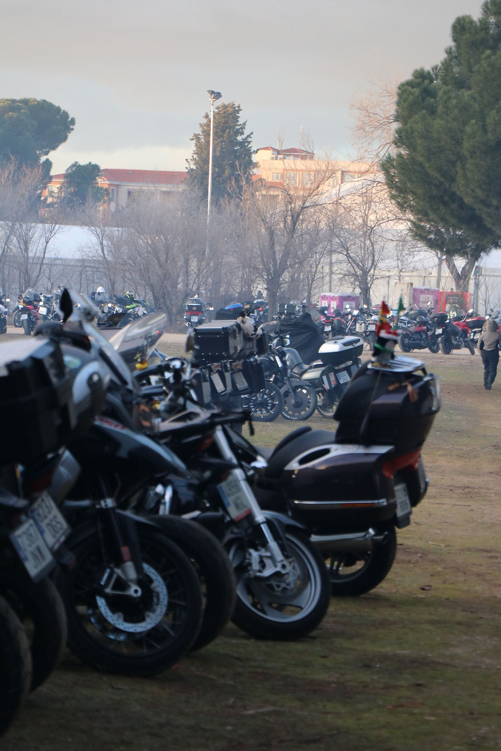 pinguinos 2026 valladolid (22)