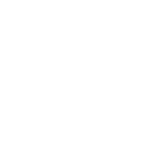 WHITE STARS TRANSPARENT.gif
