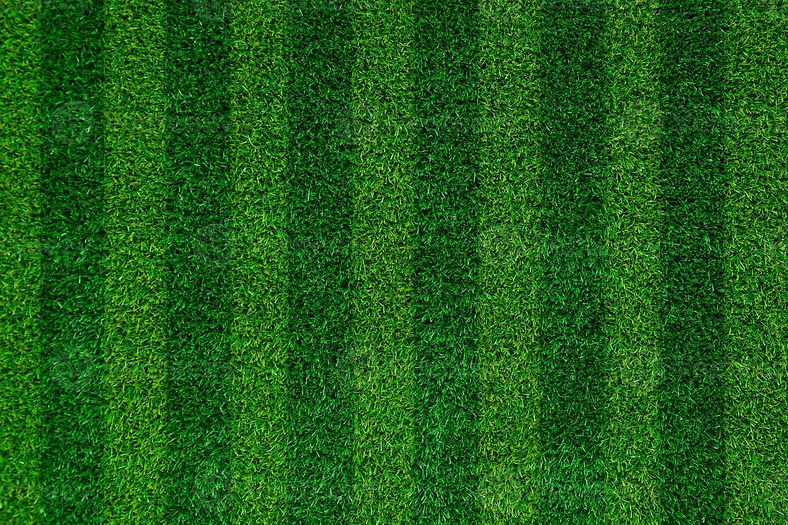 grass.jpg