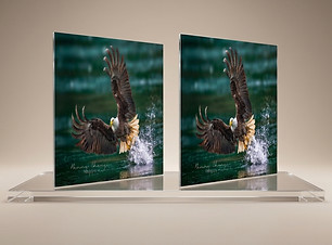 Gemini_Generated_Image_kfi8j3kfi8j3kfi8.jpg