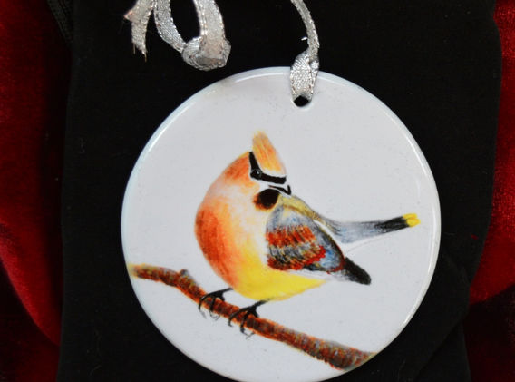 Cedar Waxwing.jpg