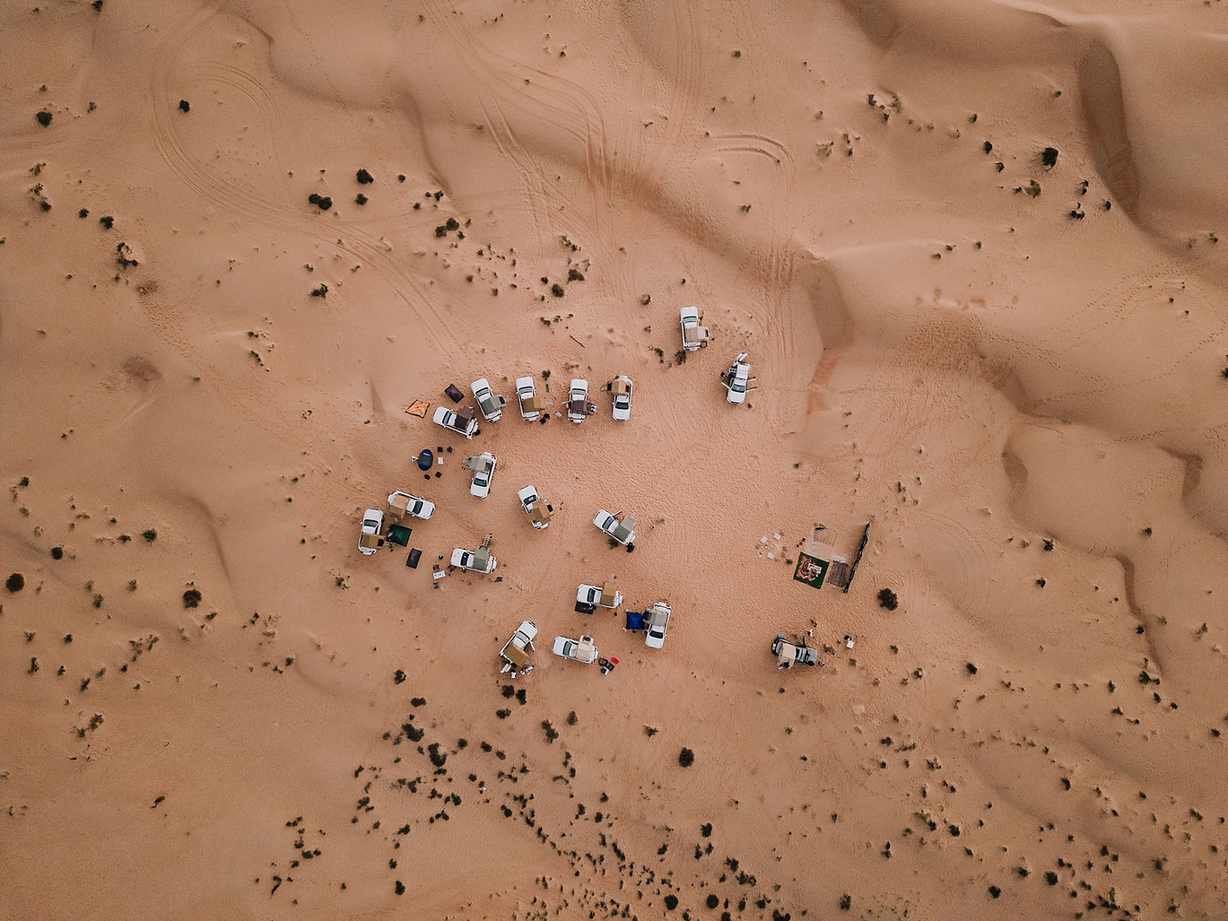 CCO_DAY_V _toni_perello-36 1.png