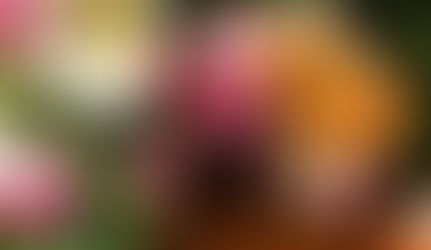 March Weddings in Toronto: Why Early Spring Is the Perfect Time to Say “I Do”