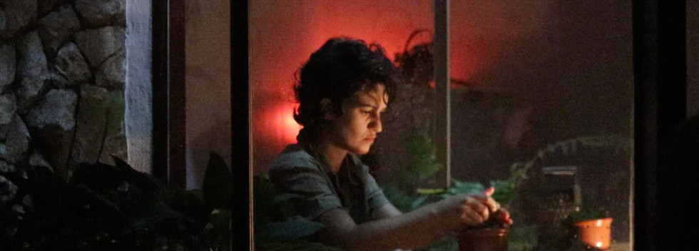 diaita at home, 2019