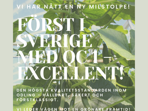 Tinas Grönsaksodling - Först i Sverige med QC 1 - Excellent!