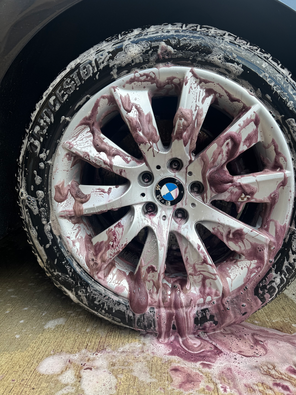 detailing-prelavage-décontamination-lavage-charleville-2