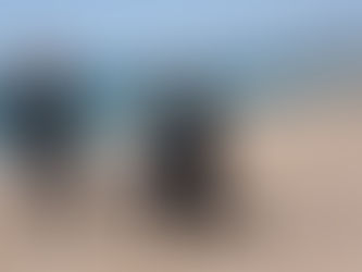 Beach Proposal on Blue Shutters