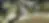 2.webp_ex=685db325&is=685c61a5&hm=0ad64bd8135f53294b34dce995efdf1c38e1c7e47354adbe424e8ffe