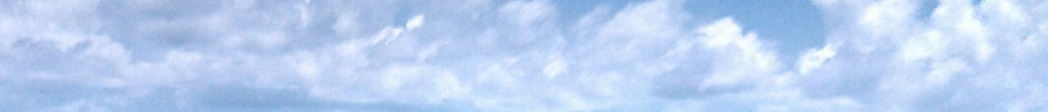 Sea Banner 2.PNG