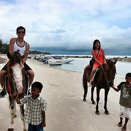 Horse Riding On The Beach Or In the Jungle