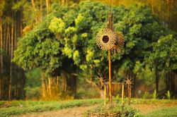 FB_IMG_1694763639777