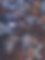 pina-messina-465028-unsplash_edited.jpg