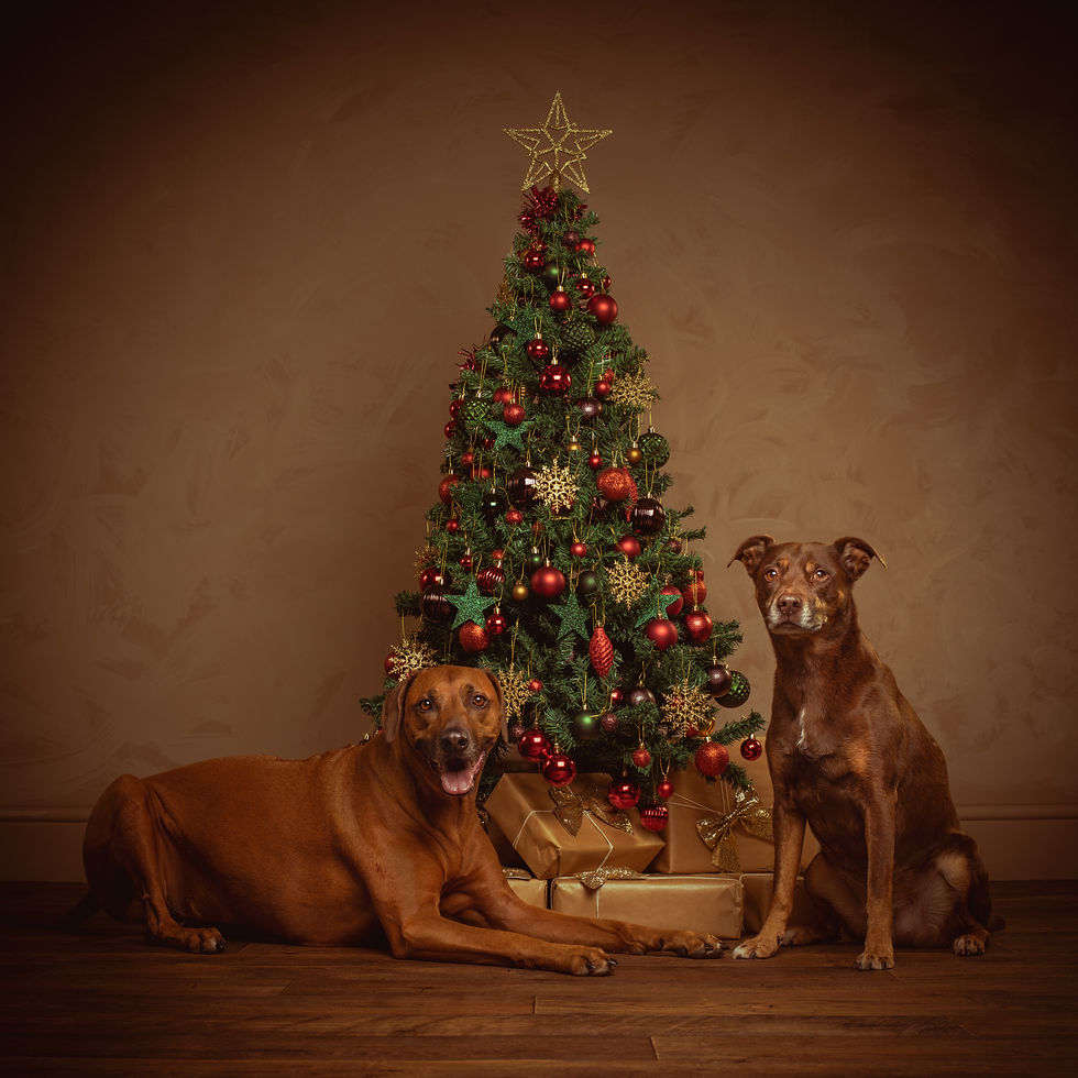Merry Pupmas