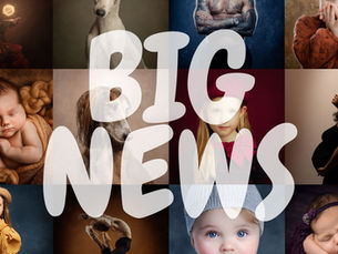 We’re Moving Studio – A New Chapter for Wild Berry