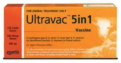 Ultravac 5in1