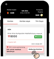 INDO Select contest (2).png