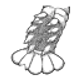 Tail with eggs_Icon_edited.png