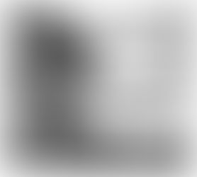 From The Archives: MLA Member Profile: Bob Williams, Stonington