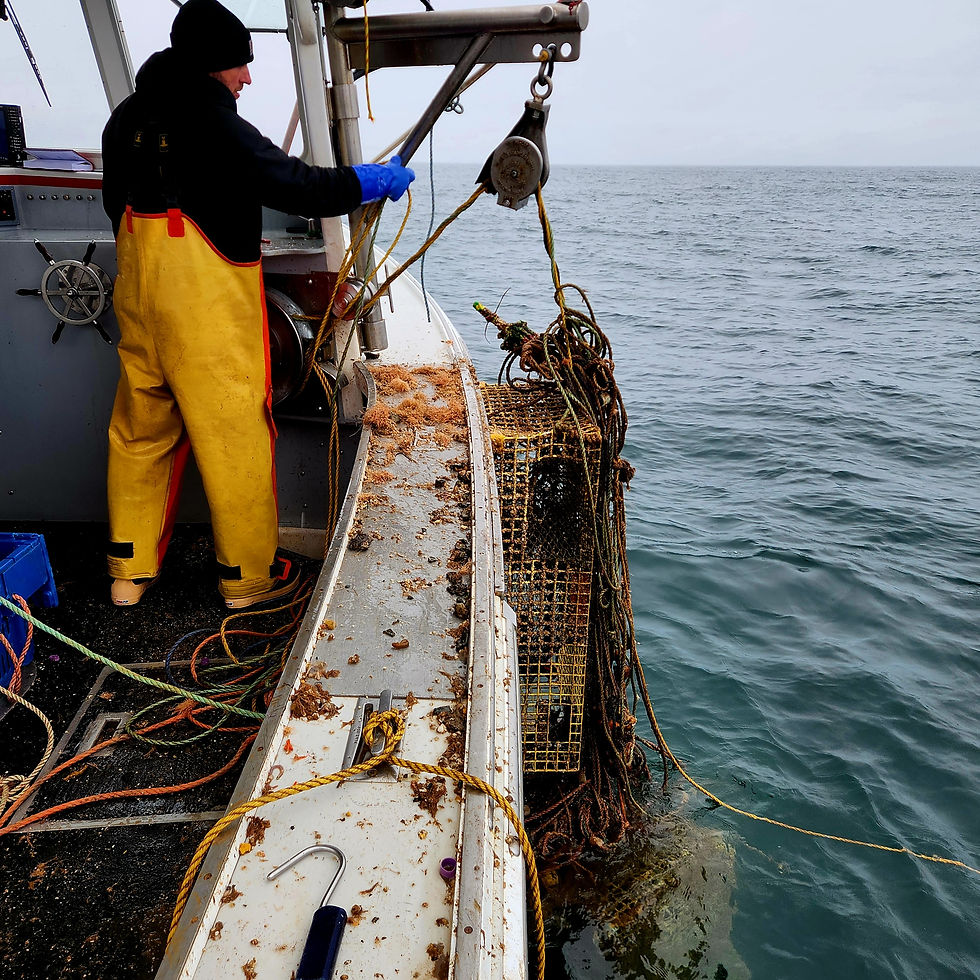 Despite the Cold, Lobstermen Bringing Up the Ghosts