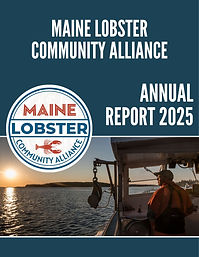 MLCA 2025 Annual Report.jpg