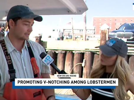 Live from Widgery Wharf with Fox 23 Maine