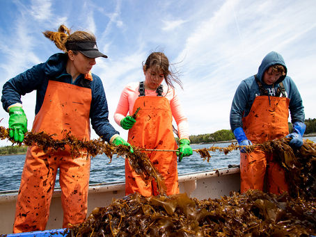 Islesboro Family Stays Close to the Sea