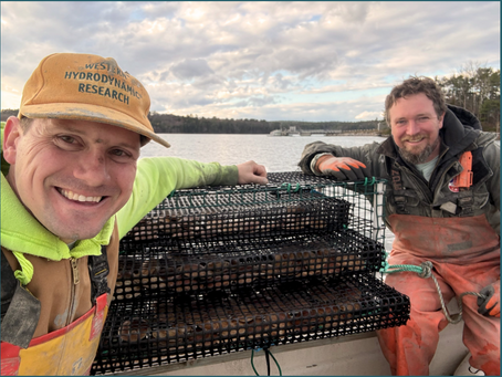 New Gear Could Help Lobstermen Diversify Their Income