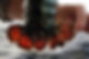 0122_lobster-notch-1000x662 R Bukaty_AP.jpg