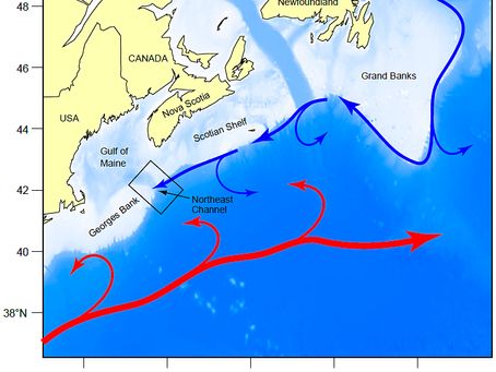 Cooler Deep Water Predicted in the Gulf Again This Year
