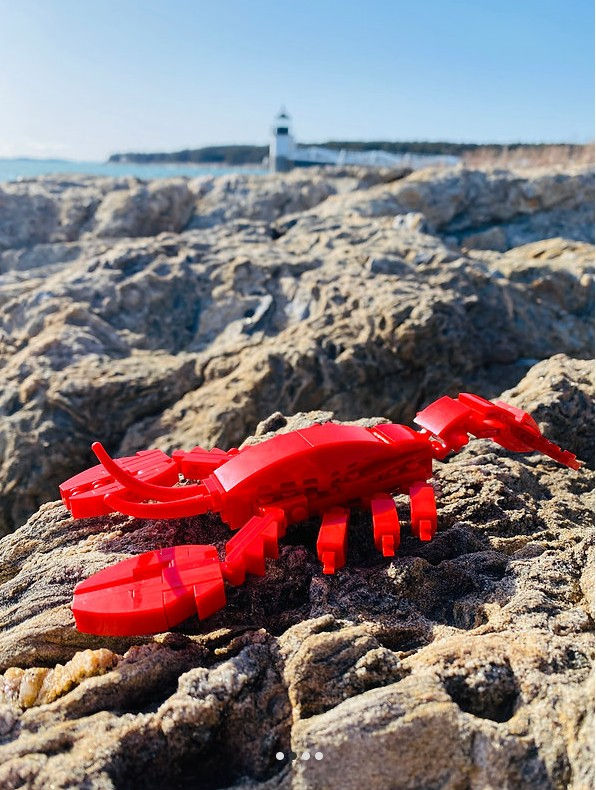 SOLD OUT Maine Lobster LEGO Kit